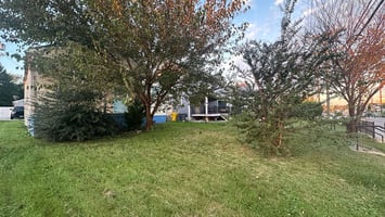 27649888