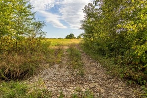 27654658