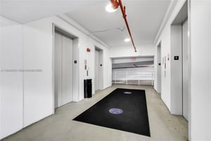 29558300