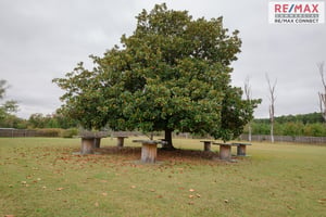 27662378