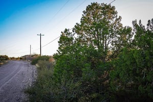 27687066