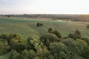 27670533