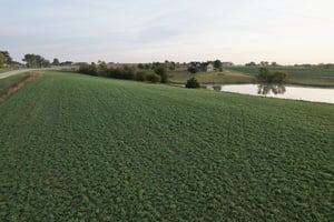27670524
