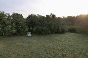 27670868