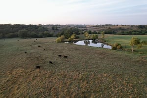 27670874