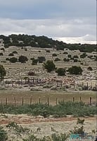 27672709
