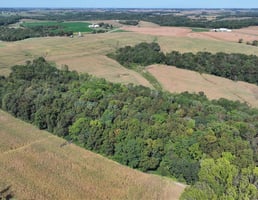 28245307