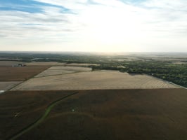 28681456