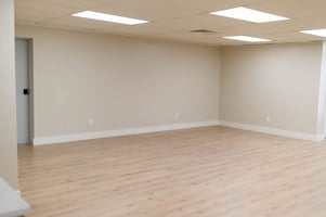 27687037