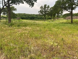 27747305