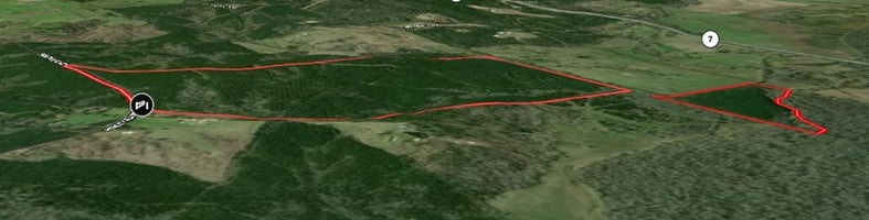 27767487