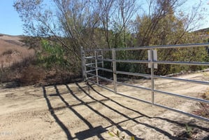30227339