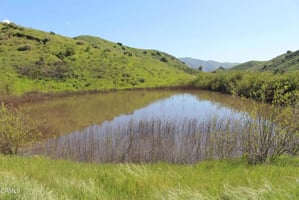 34257017