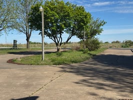 33975021