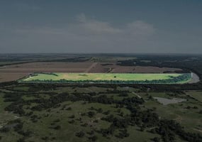 29876842