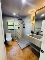 29254420