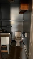 28955582