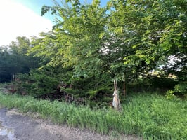 27793689