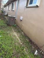 29595219