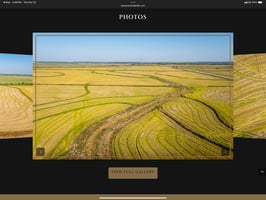 27821900