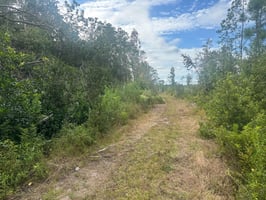 27842581
