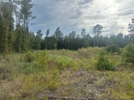 27842583