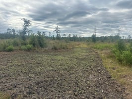 27842579