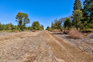 27980631