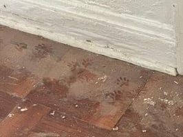 27858357