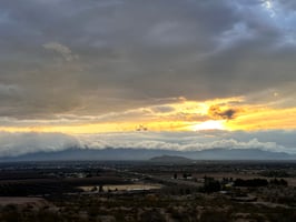 28010520