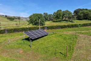 31558635