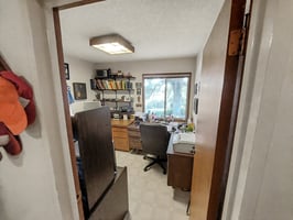 31558619