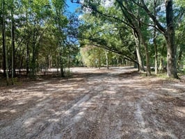 27867436