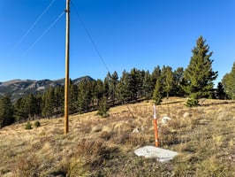 29570425