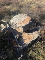 27876645
