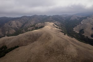 27884725