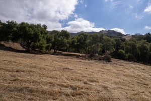 27884732