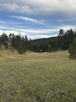 27885688