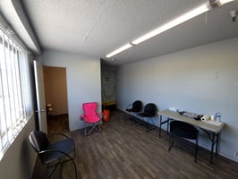 31691651