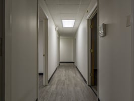 31535955