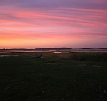 29063968