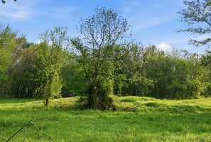 31755157