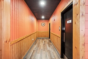 29725194