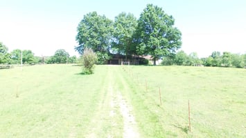 31776186