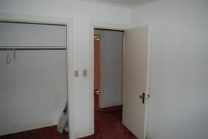 33590323