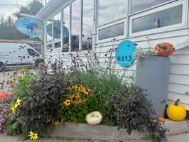 27978248