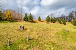27979646