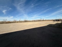 29645558