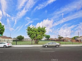 32007955