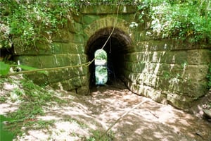 32650284